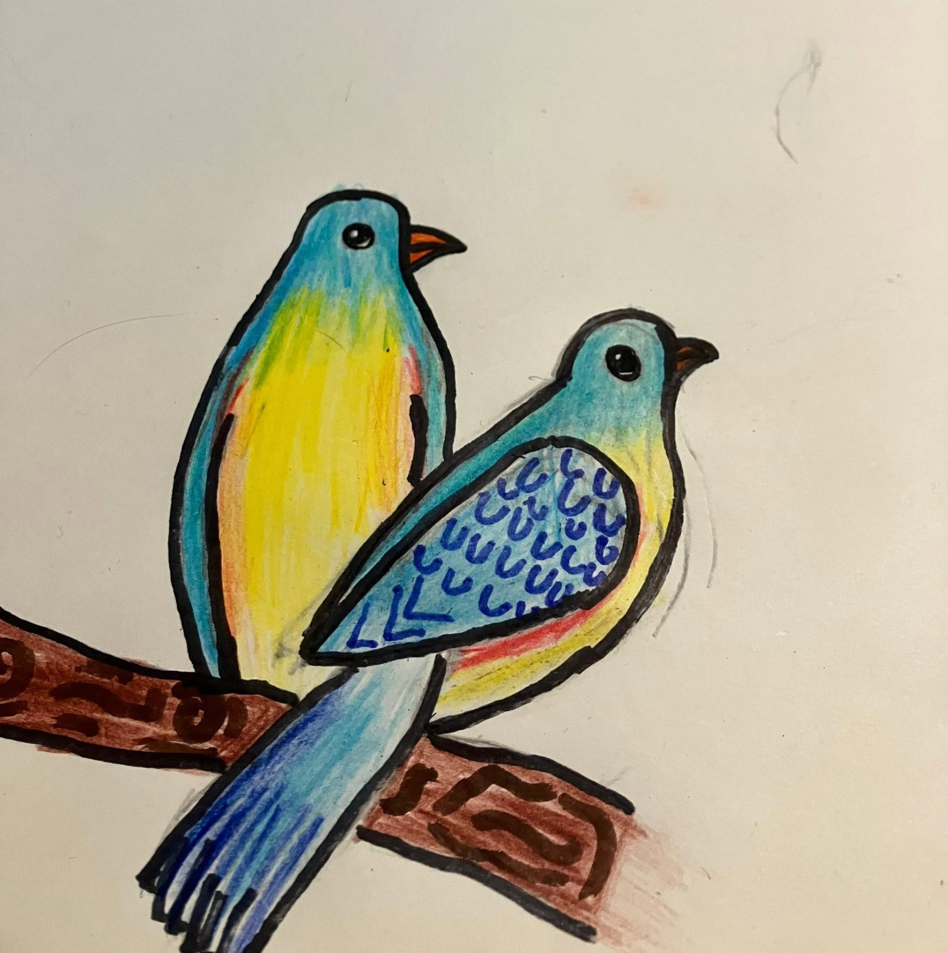 Pencil Drawing project